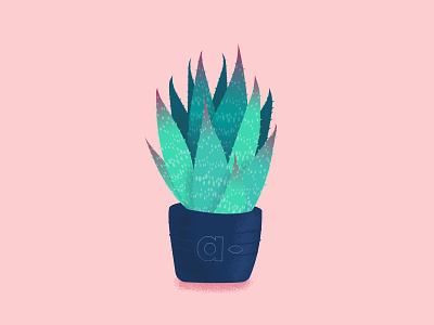 Aloe vera illustration for Aurelia
