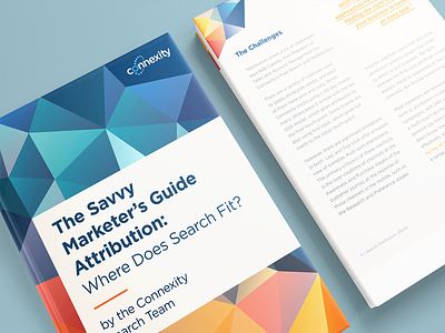 The Savy Marketer's Guide Attribution