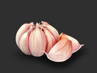 Garlic design graphic design illustration