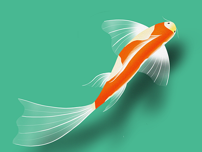 Fish design graphic design illustration