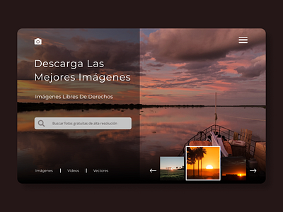 buscador de imagenes design ui web