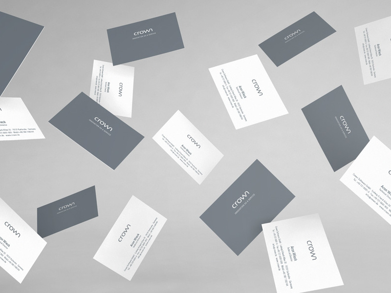 Crown Software, Print Design graphicdesign branding cards