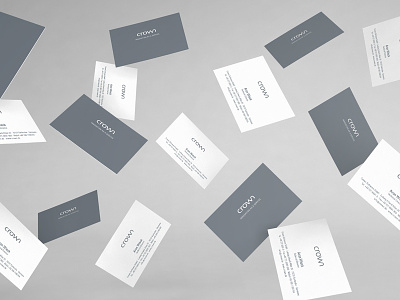 Crown Software, Print Design branding cards graphicdesign