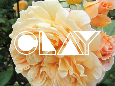Clay Logotype