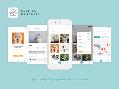 Club de Mascotas UX/UI adoption app branding design design app interface minimal pets project ui