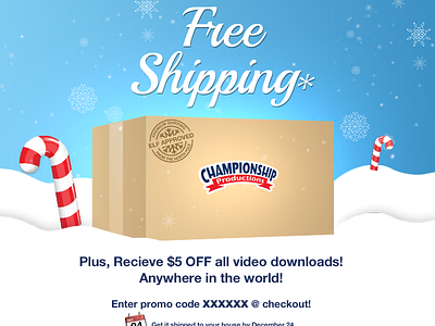 Free Shipping Ad ad design