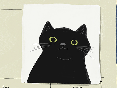 Elly Cat animal cat digital illustration pet