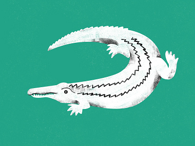 Philippine Crocodile crocodile digital illustration illustration art photoshop