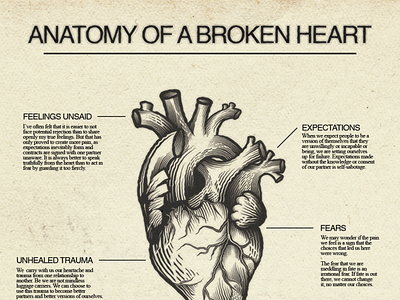 Anatomy of a Broken Heart