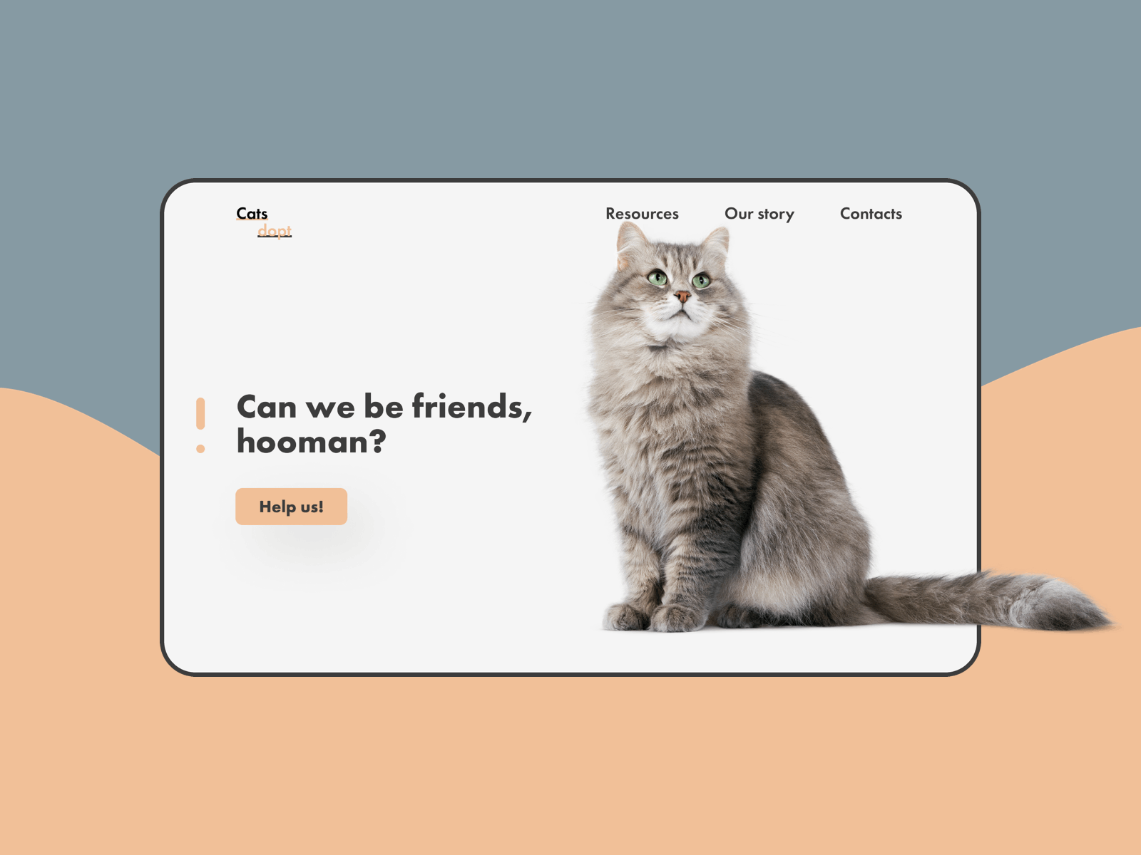 Pets Adoption 🐈 adoption animation cat design figma flat landing minimal pet principle ui uidesign ux web
