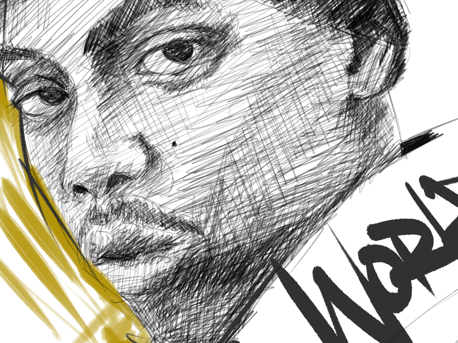 Ritan Chauhan Dribbble