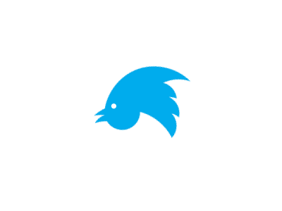 New twitter
