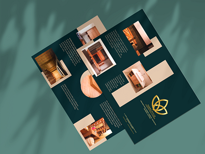 Brochure Padma Divija art artwork branding design brochure brochure design creative creative design design illustration illustration art logodesign