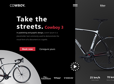 Bicycle Web Design branding graphic design ui web