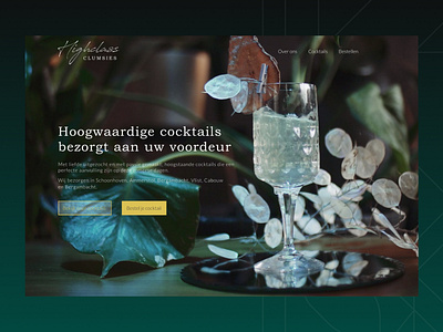 Cocktail Delivery Service front end development web design