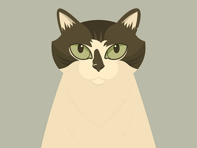 This is Dr. Cuddles (kitty portrait WIP) cats design illustration vector