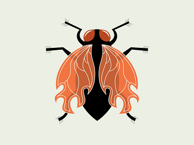 "Fire" Fly conceptual design drawing fire fly illustration insect vector