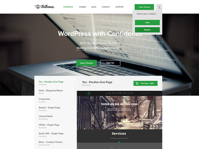 TeoThemes homepage