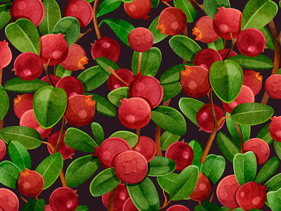 Lingonberry pattern berry botanical branding design fabric food illustration pattern plant print seamless textile texture watercolor