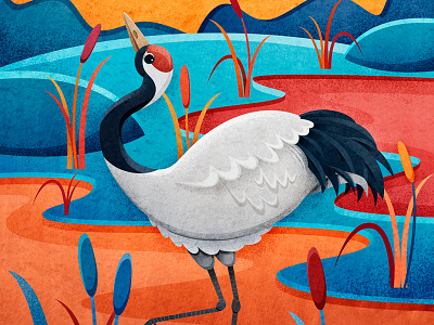 Crane animal bird book character children design illustration illustrator kid print texture watercolor