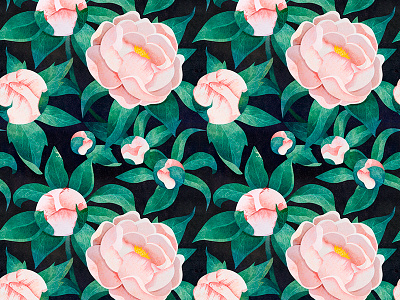 Peony pattern art design flower illustration illustrator pattern print textile wallpaper watercolor