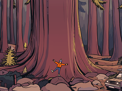 Redwoods illustration vector