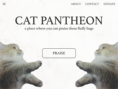 🐈 Cat Pantheon 🐈 app design flow illustration logo minimal ui ux web website