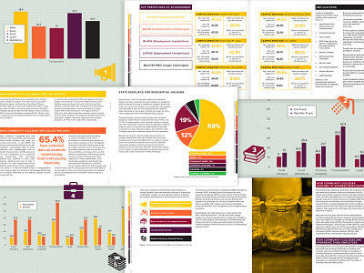 Graphs, Charts, and Icons—Oh My! annual report charts collegiate color color scheme data design designer flat design graphics icons info infographics layout pie chart report report design vector