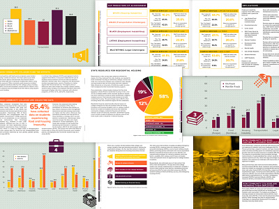 Graphs, Charts, and Icons—Oh My!