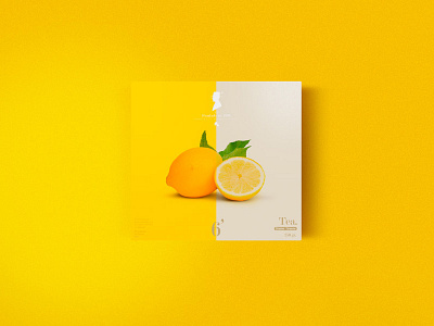 El Aristo® packaging argentina branding diseño helvetica identity juice logo minimalism pack packaging type typography