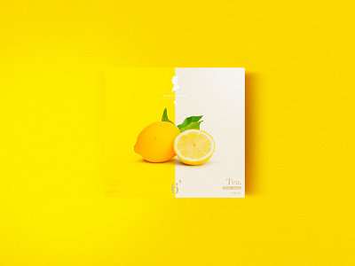 Tea Packaging argentina box branding design diseño envase identity minimal pack packaging tea