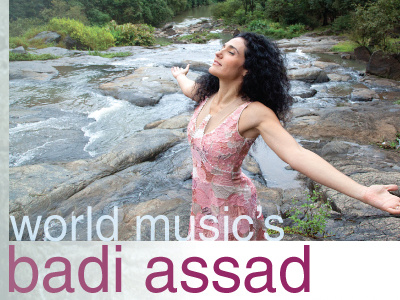 Badi Assad one sheet badi assad band one sheet