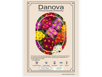 Plant Promotional Poster branding flower nursery graphic design identity print