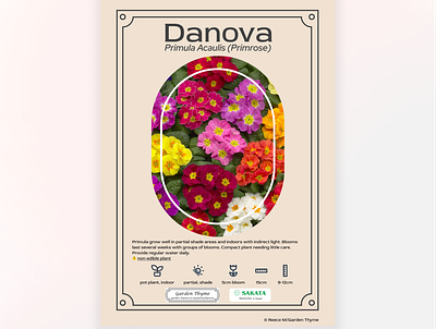 Primrose Plant Promotional Poster branding flower nursery graphic design identity print