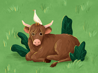 Year of the Ox (sort of)
