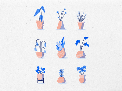 Plant Sunday adobe illustrator bear botanical illustration lavendel monstera pancake plant plants vase vector