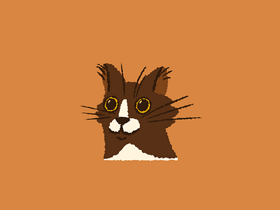 Pak branding cat cats illustration ipadpro new site newsite pencil procreate