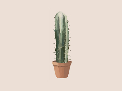 Cereus Cactus Illustration art cactus cereus digital painting digitalpainting illustration painting plants