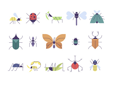 Bugs bug color drawing illustrator line minimal