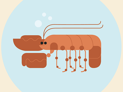 Lobster animal app color flat icon illustration ilustración line vectors wildlife