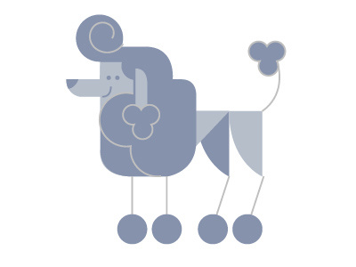 Poodle dog flat design illustration line minimal outline style