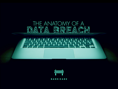 The Anatomy of a Data Breach [Infographic] 