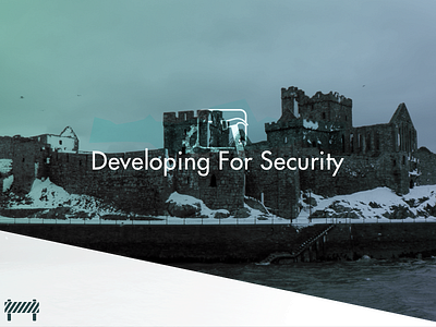 Developing for Security, Infographic