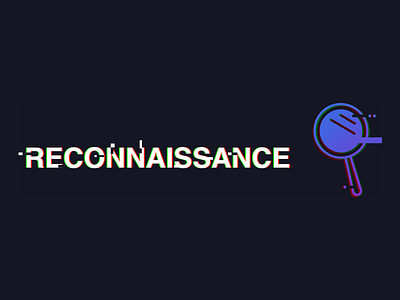 Reconnaissance Glitch Lettermark