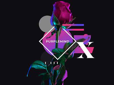 PURPLEMIND Hero Shot - Abstract Art abstract art brand energy gradients hero line logo love rose type