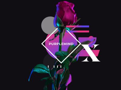 PURPLEMIND Hero Shot - Abstract Art