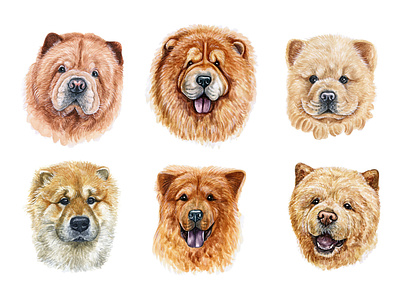 Watercolor illustration set dogs Chow-chow