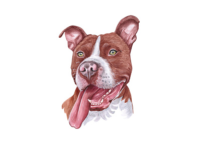 Watercolor PitBull animal dog dog illustration draw illustration pet pets pitbull puppy watercolor watercolor art