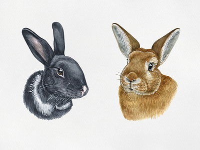 bunny and rabbit animal bunny bunny logo draw drawing funny illustration pet pets rabbit watercolor watercolor art