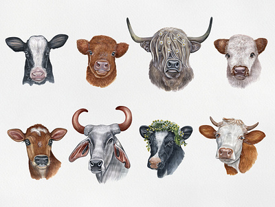Cows animal cow cute draw drawing funny illustration pet pets watercolor watercolor art